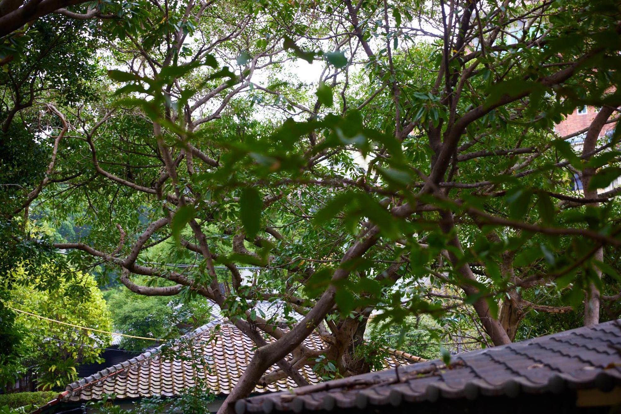 Kyokusui Hotspring Hotel تايبيه المظهر الخارجي الصورة